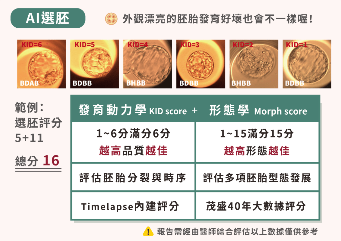 AI輔助篩選胚胎等級