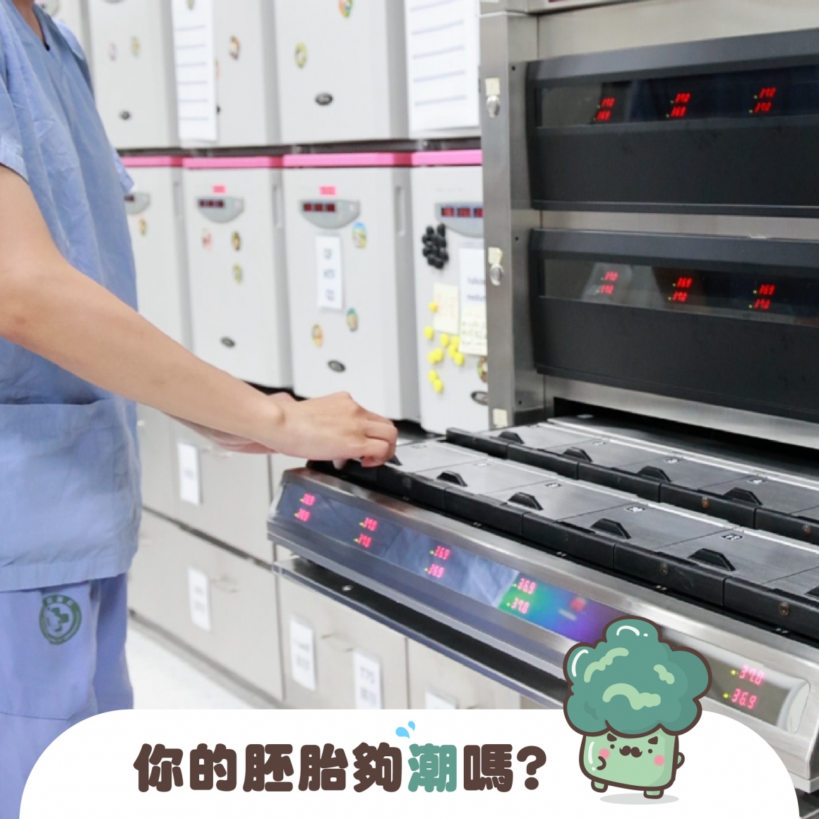 胚胎培養箱：胚胎環境濕度竟然與懷孕率有關？