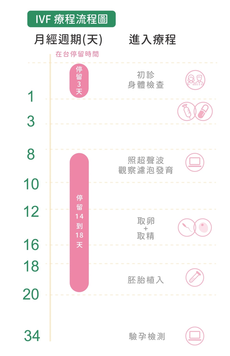 試管嬰兒程序和治療時間說明