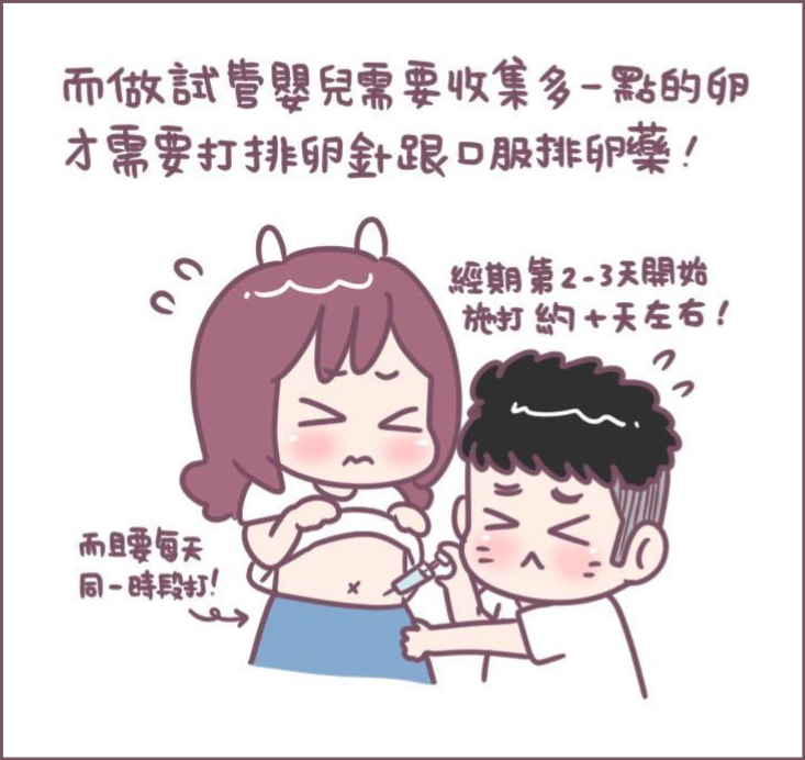 施打排卵針過程分享-2/不死兔圖文授權 施打排卵針過程分享-2/不死兔圖文授權