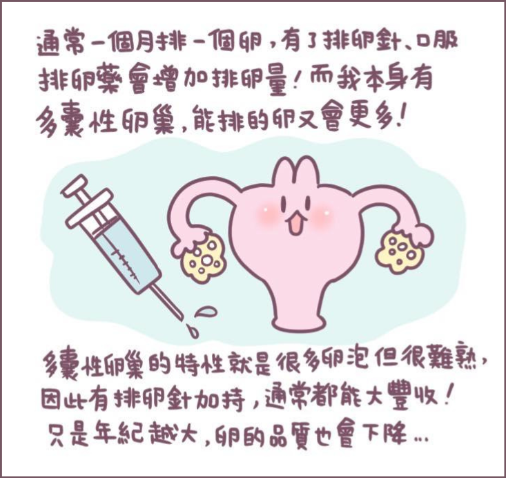 施打排卵針過程分享-3/不死兔圖文授權 施打排卵針過程分享-3/不死兔圖文授權
