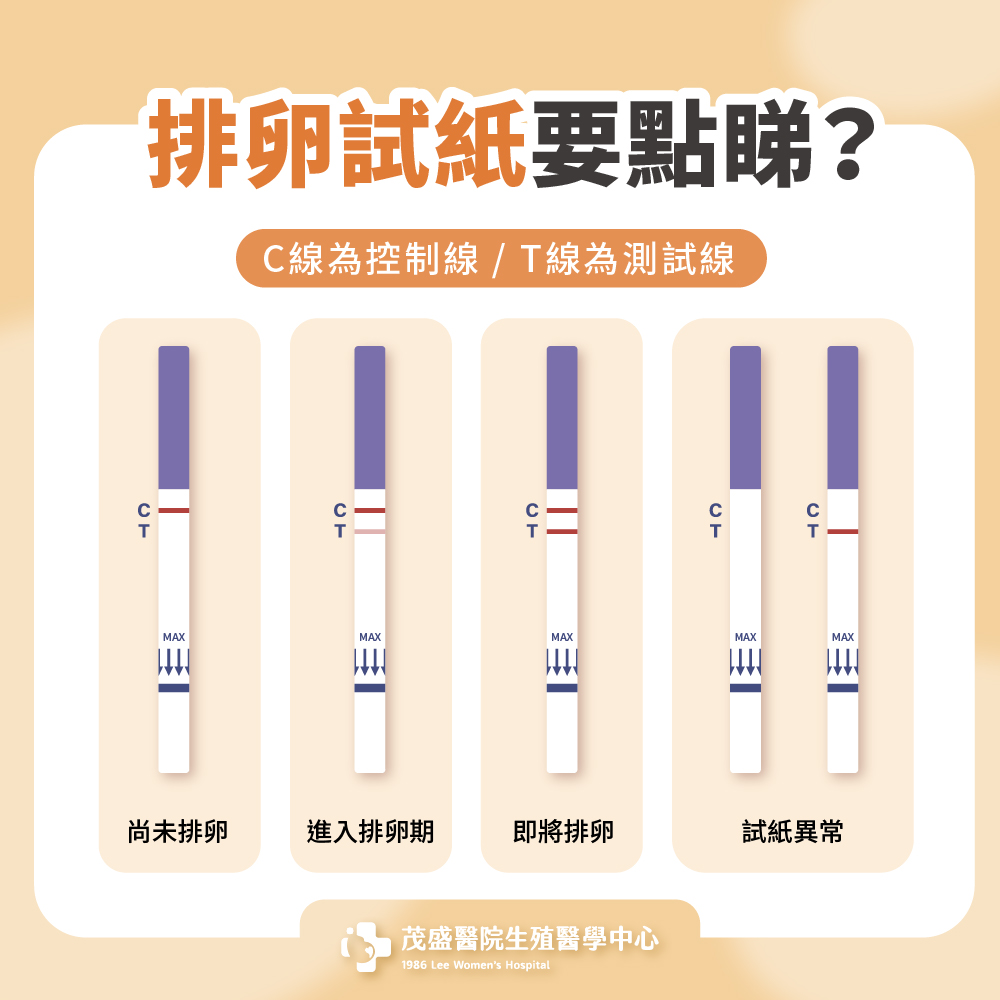 排卵試紙要點睇