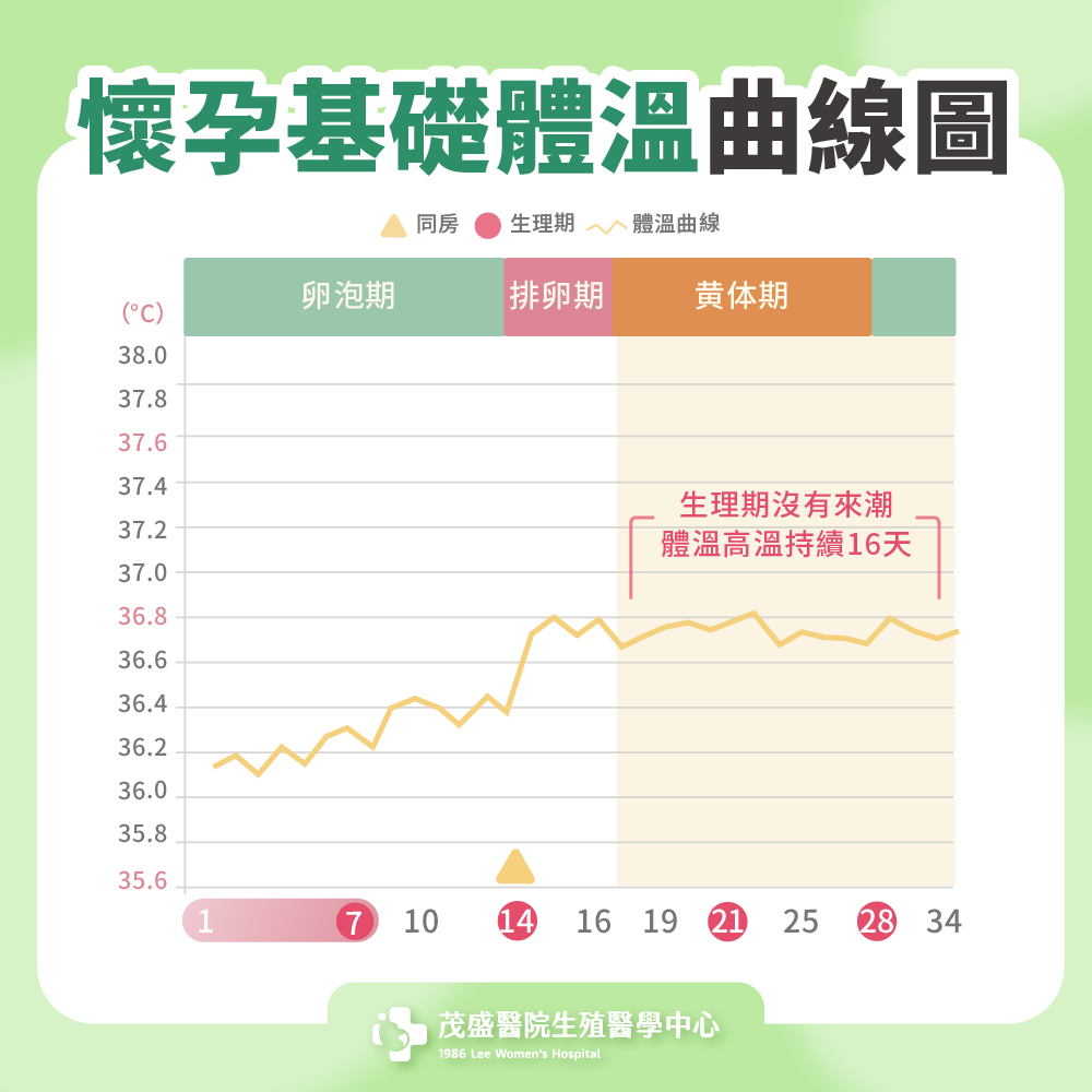 懷孕基礎體溫曲線圖