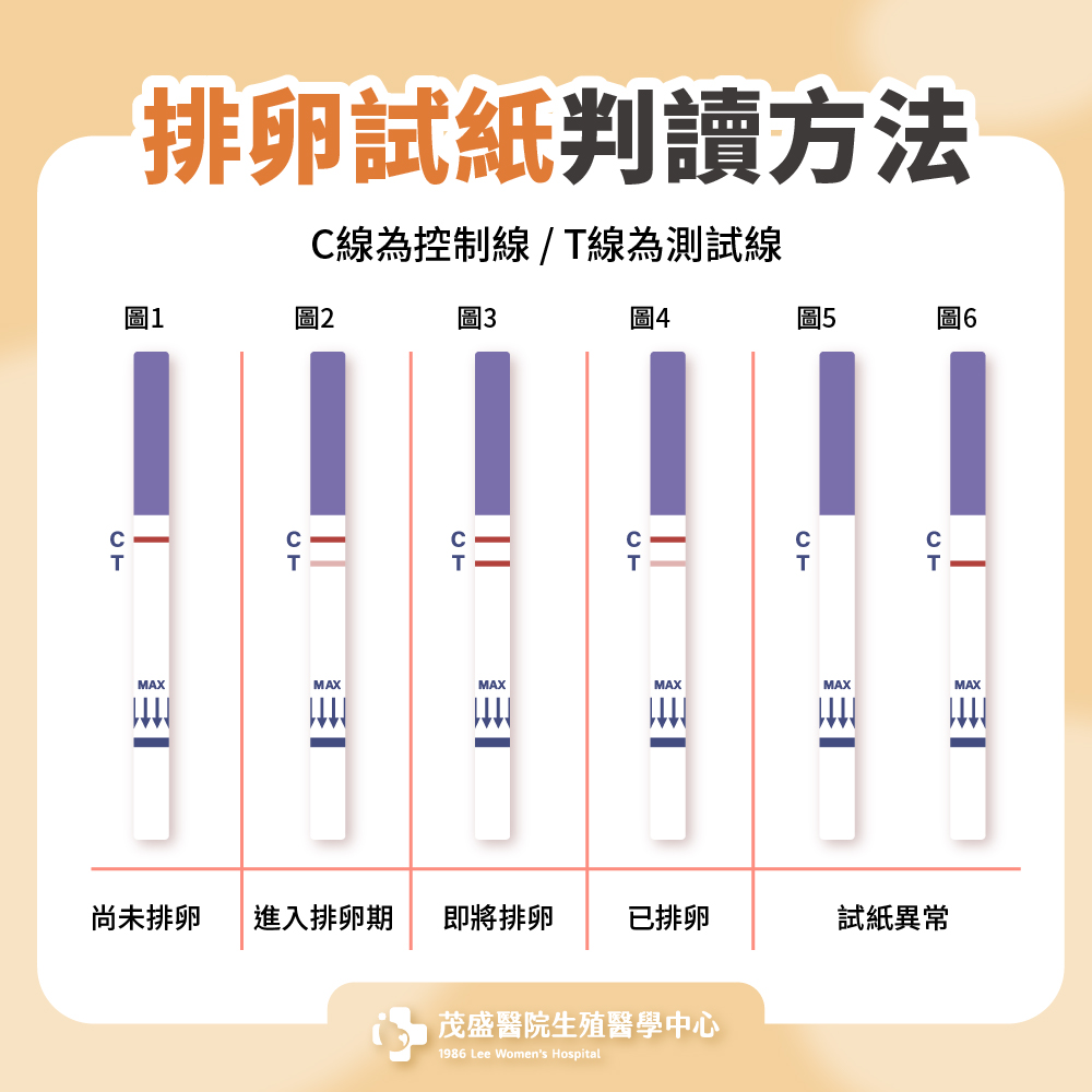 排卵試紙判讀方法